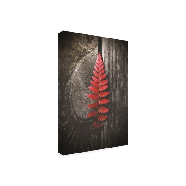 Philippe Sainte Laudy 'Autumn Red Leaf' Canvas Art,12x19